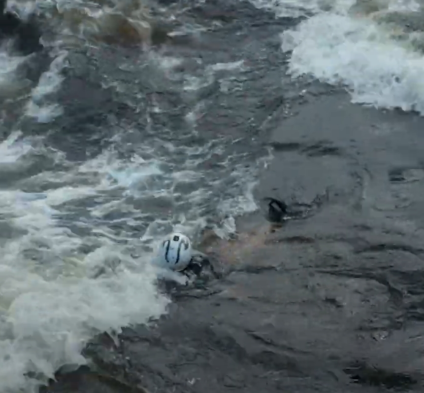 Defensive Swimming
