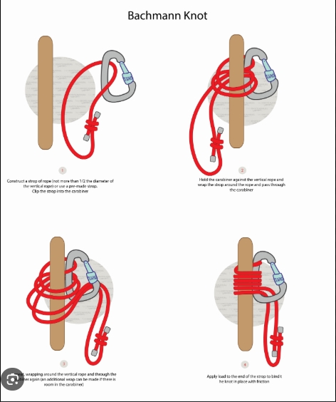 bachman knot